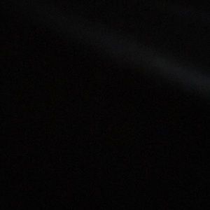 Meet your Posher, Leiloni